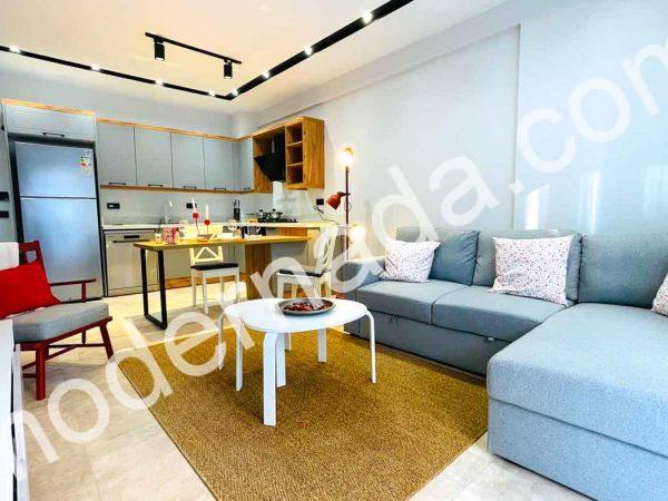 Moderner Villa -Fernseher Es gibt Gayrimenkul